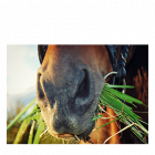 Duże zdjęcie z Adobe Stock na Twoją ścianę ...