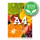 ECO Katalog A4, 32-strony