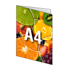 Folder A4, 4-stronicowy, kolor