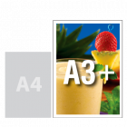 Plakat promocyjny A3+, kolor (60 gr/szt.) - Drukarnia Internetowa D-PRINT.PL - druk cyfrowy Warszawa Plakat promocyjny A3+, kolor (60 gr/szt.)