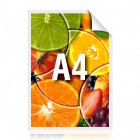 Ulotka promocyjna A4, kolor (30 gr/A4) - Drukarnia Internetowa D-PRINT.PL - druk cyfrowy Warszawa Ulotka promocyjna A4, kolor (30 gr/A4)