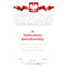 Dyplom Wzorowego ucznia wz.2